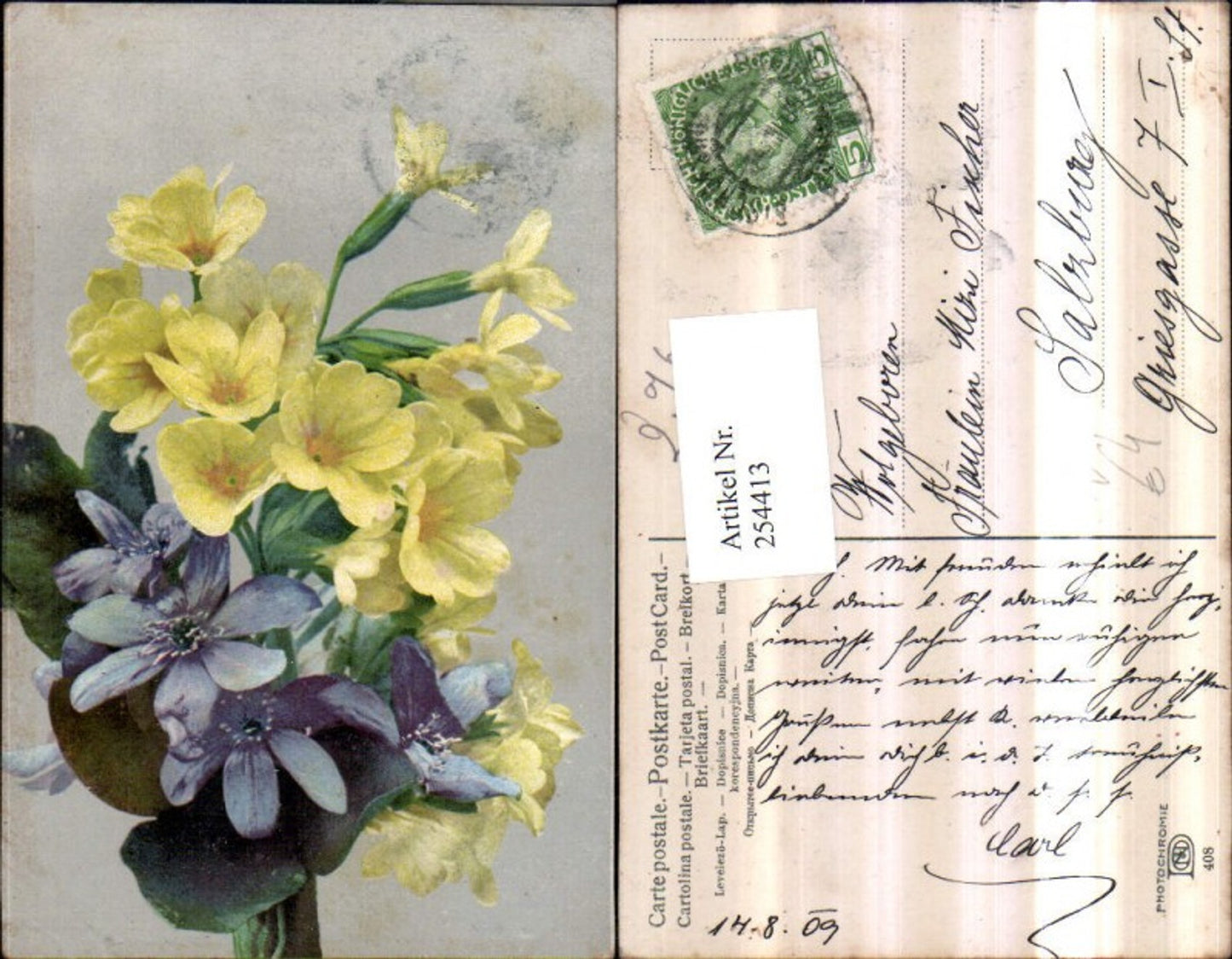 254413,Photochromie Nenke & Ostermaier 408 Blumenstrauß Himmelschlüssel Leberblumen