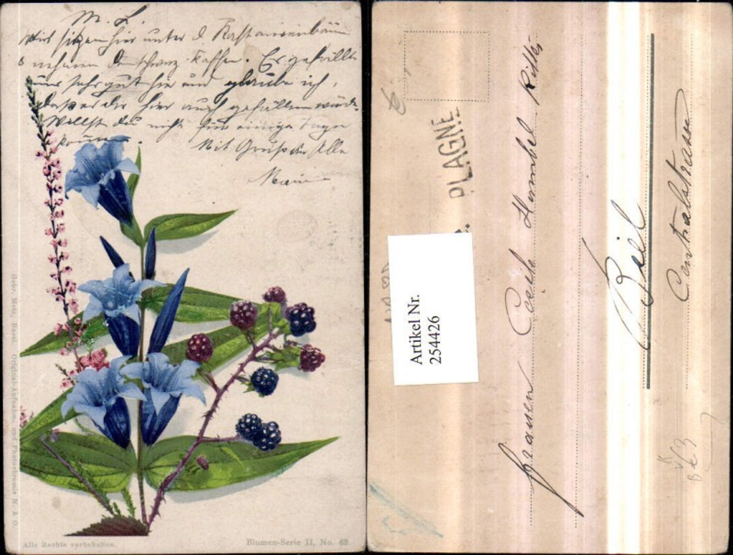 254426,Künstler AK Photochromie Nenke & Ostermaier Blumen Enzian Beeren