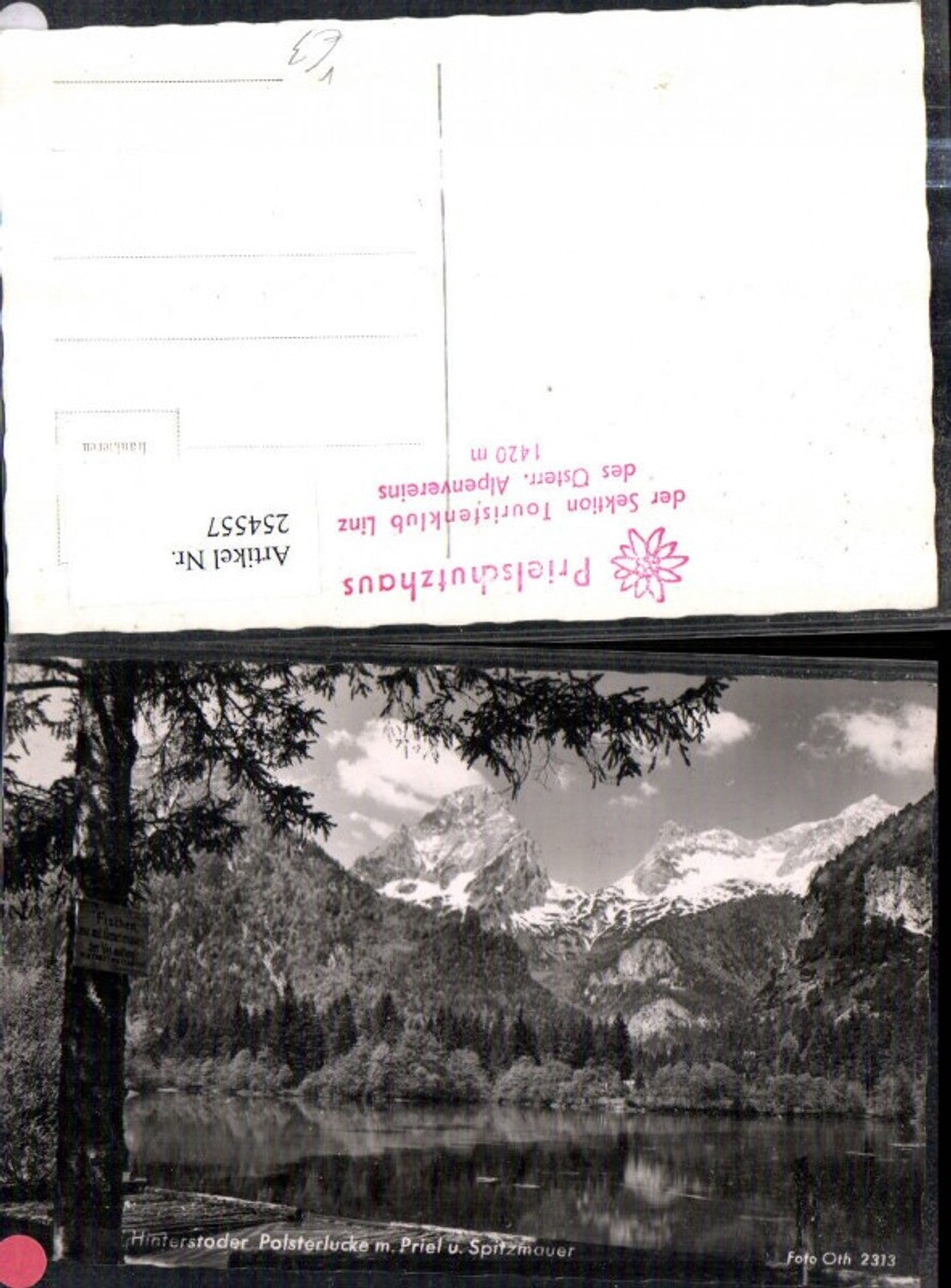 254557,Hinterstoder Polsterlucke m. Priel u. Spitzmauer Bergkulisse pub Foto Oth 2313