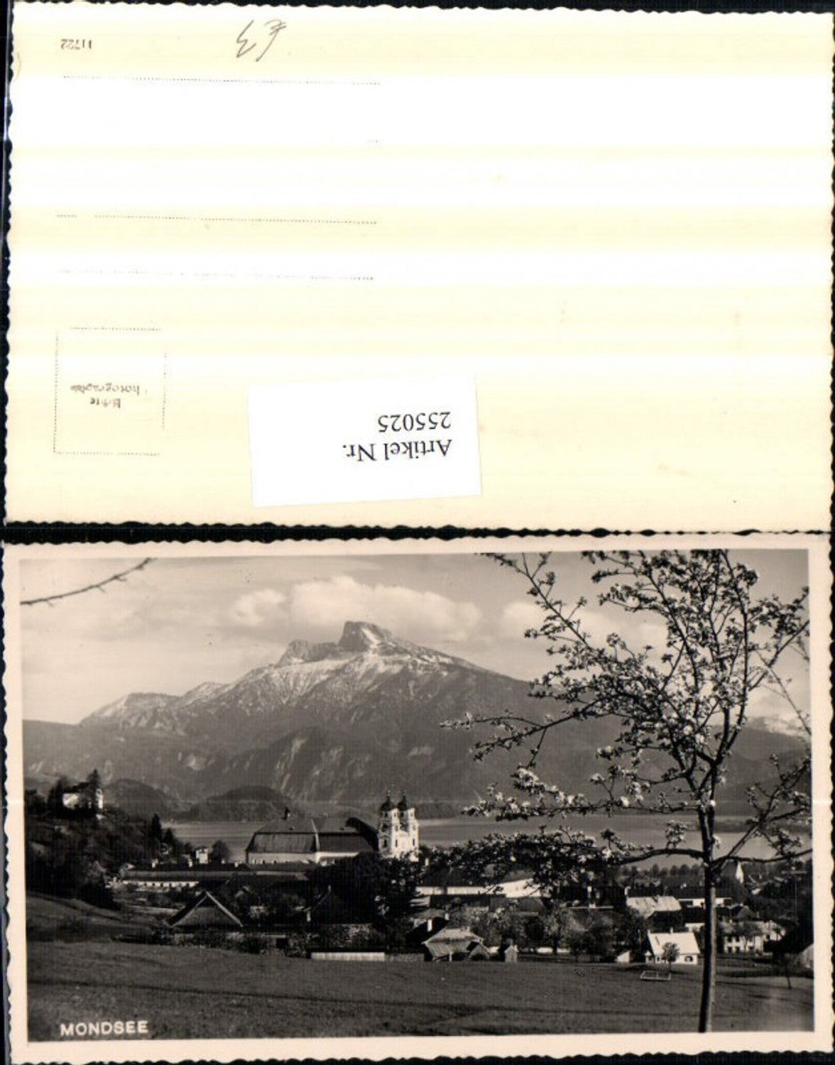 255025,Mondsee Teilansicht Kirche Bergkulisse
