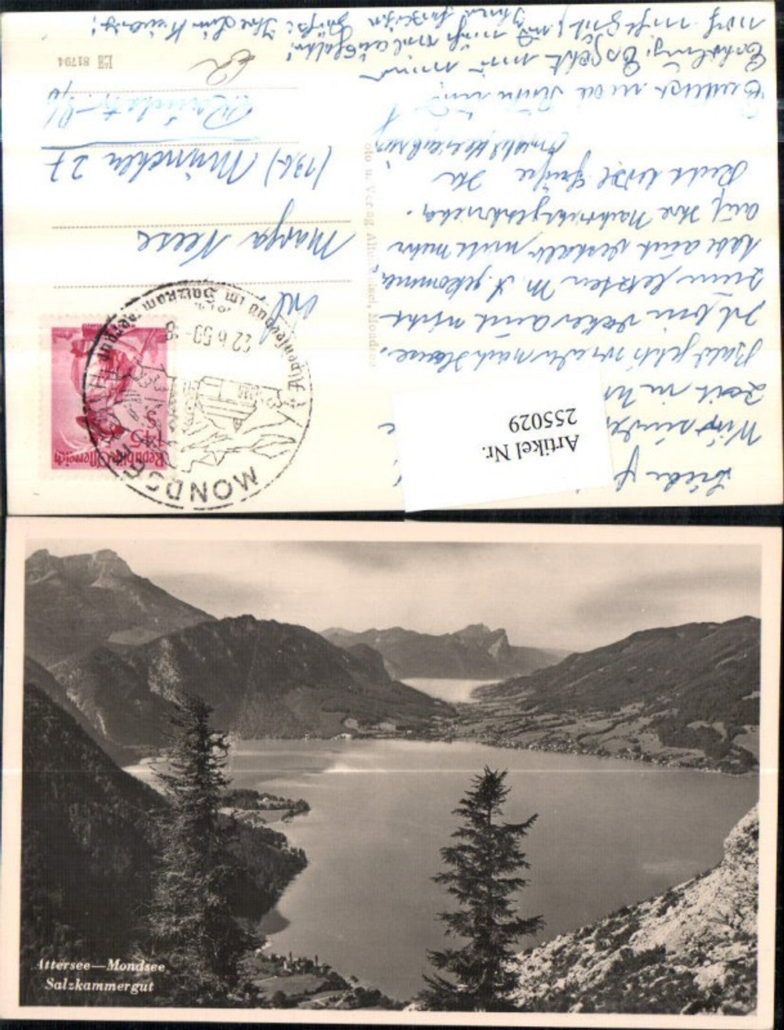255029,Attersee u. Mondsee Totale Bergkulisse