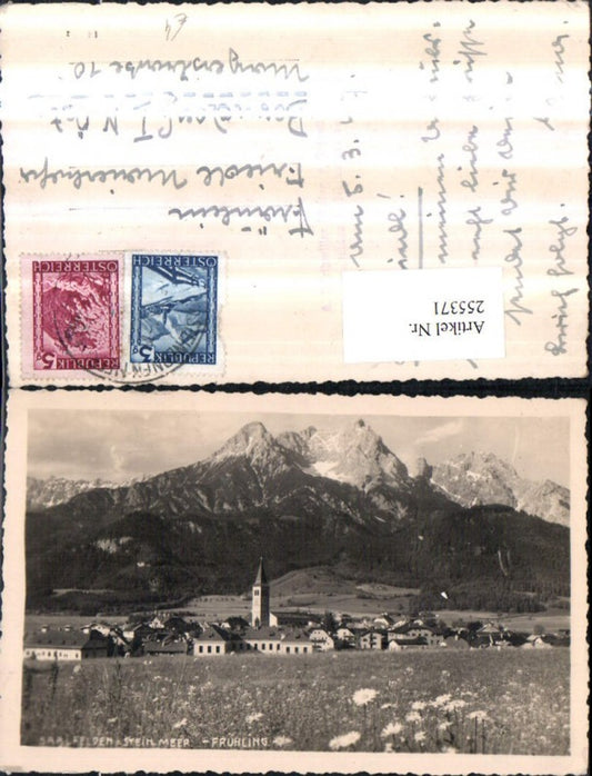 255371,Saalfelden Totale am Steinernen Meer Bergkulisse Blumenwiese