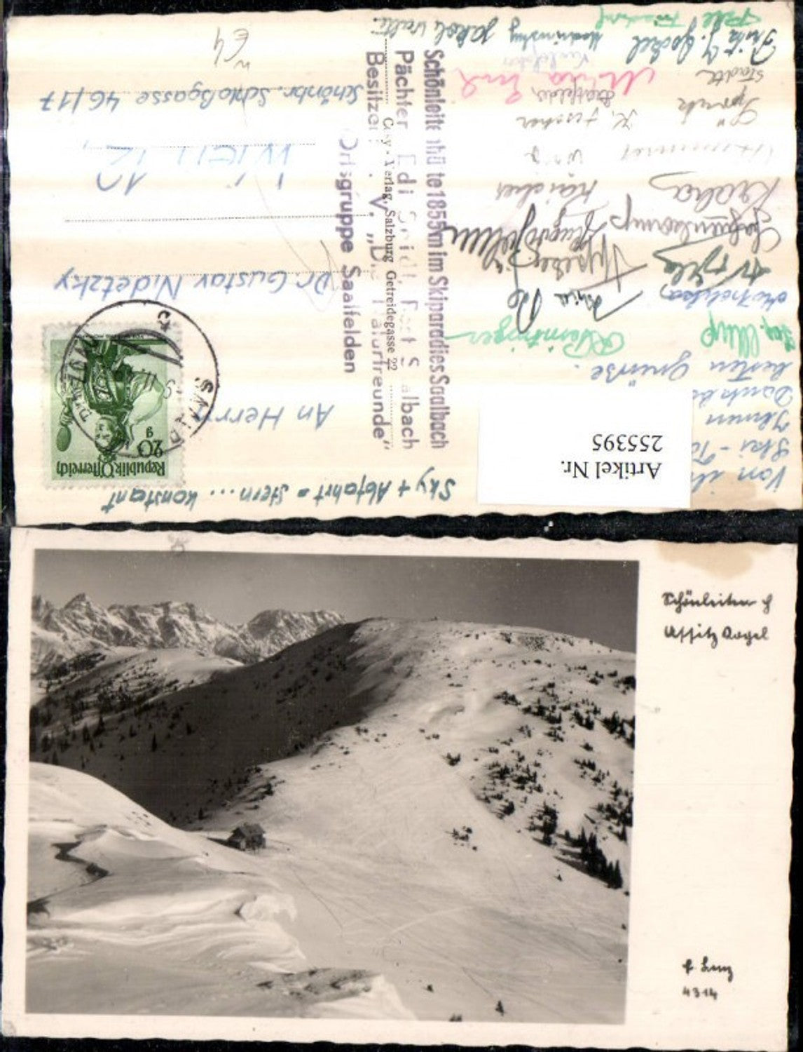 255395,Schönleiten geg. Assitzkogel Asitzkogel Bergkulisse b. Saalfelden