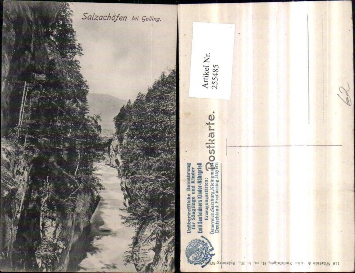 255485,Salzachöfen Partie b. Golling