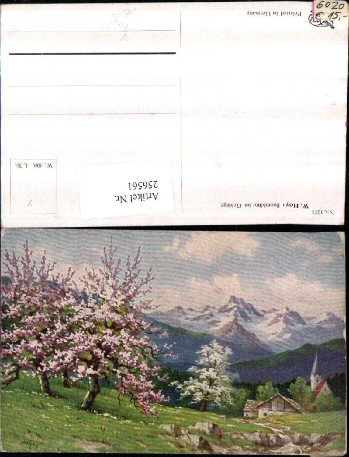 256561,Degi AK 1271 Künstler W. Hoy Baumblüte im Gebirge Bergkulisse Kirche