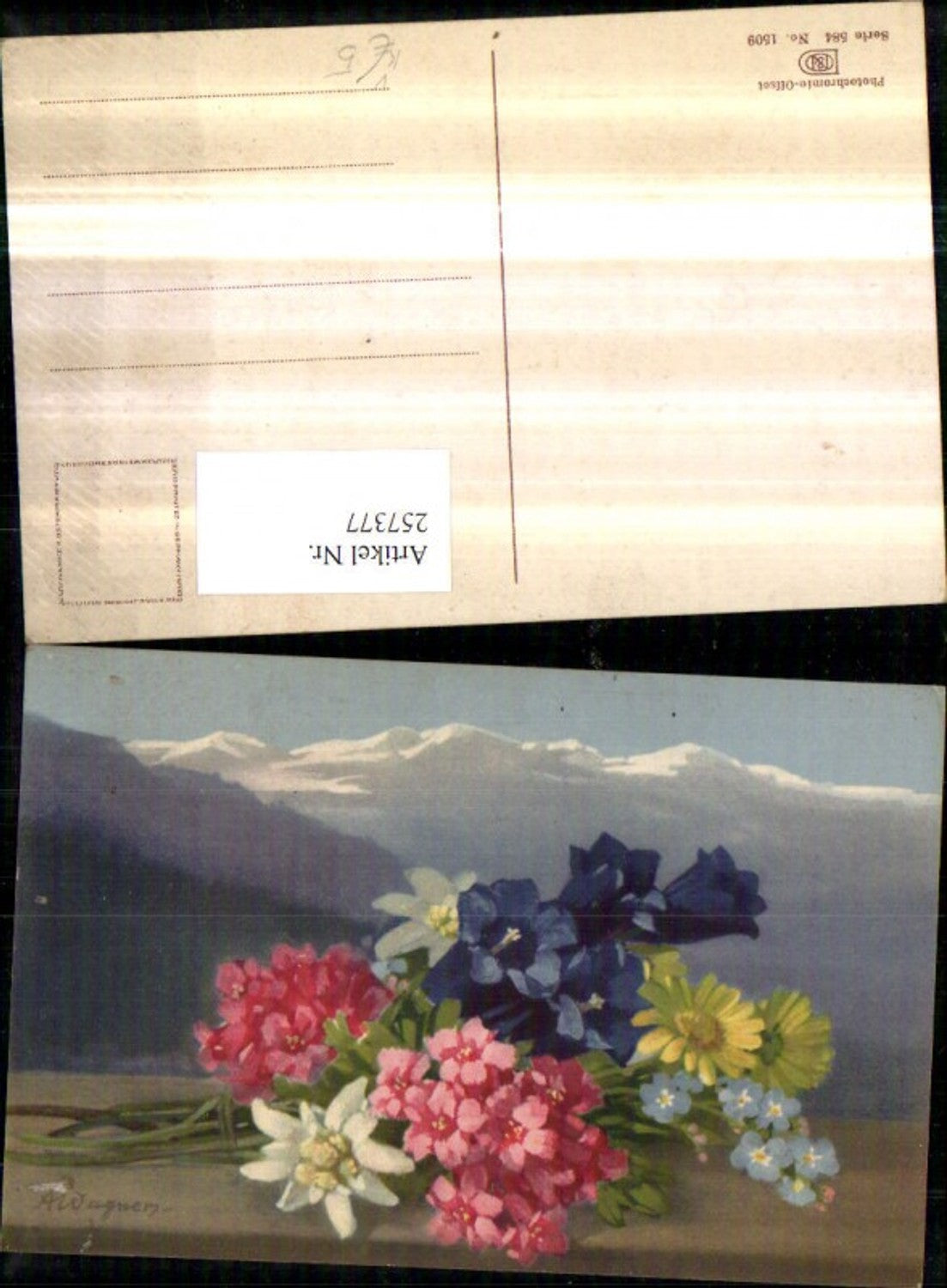 257377,Künstler AK A. Wagner Enzian Edelweiß Blumen pub Photochromie Nenke u. Ostermaier 584/1509