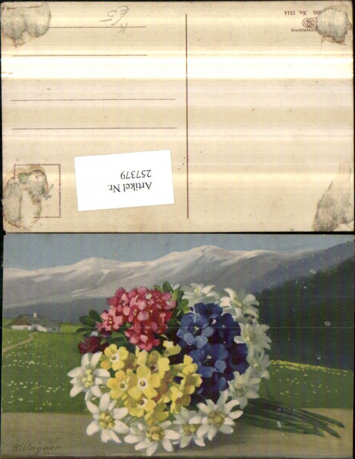 257379,Künstler AK A. Wagner Blumen Edelweiß Enzian pub Photochromie Nenke u. Ostermaier 585/1514