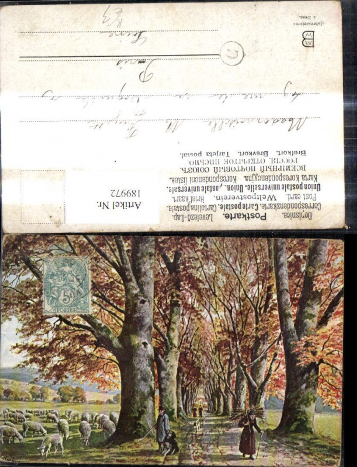 189972,Künstler Ak Alter Frau m. Holz a. Rücken Allee Hirte Schafe Schafherde Hund Landschaft