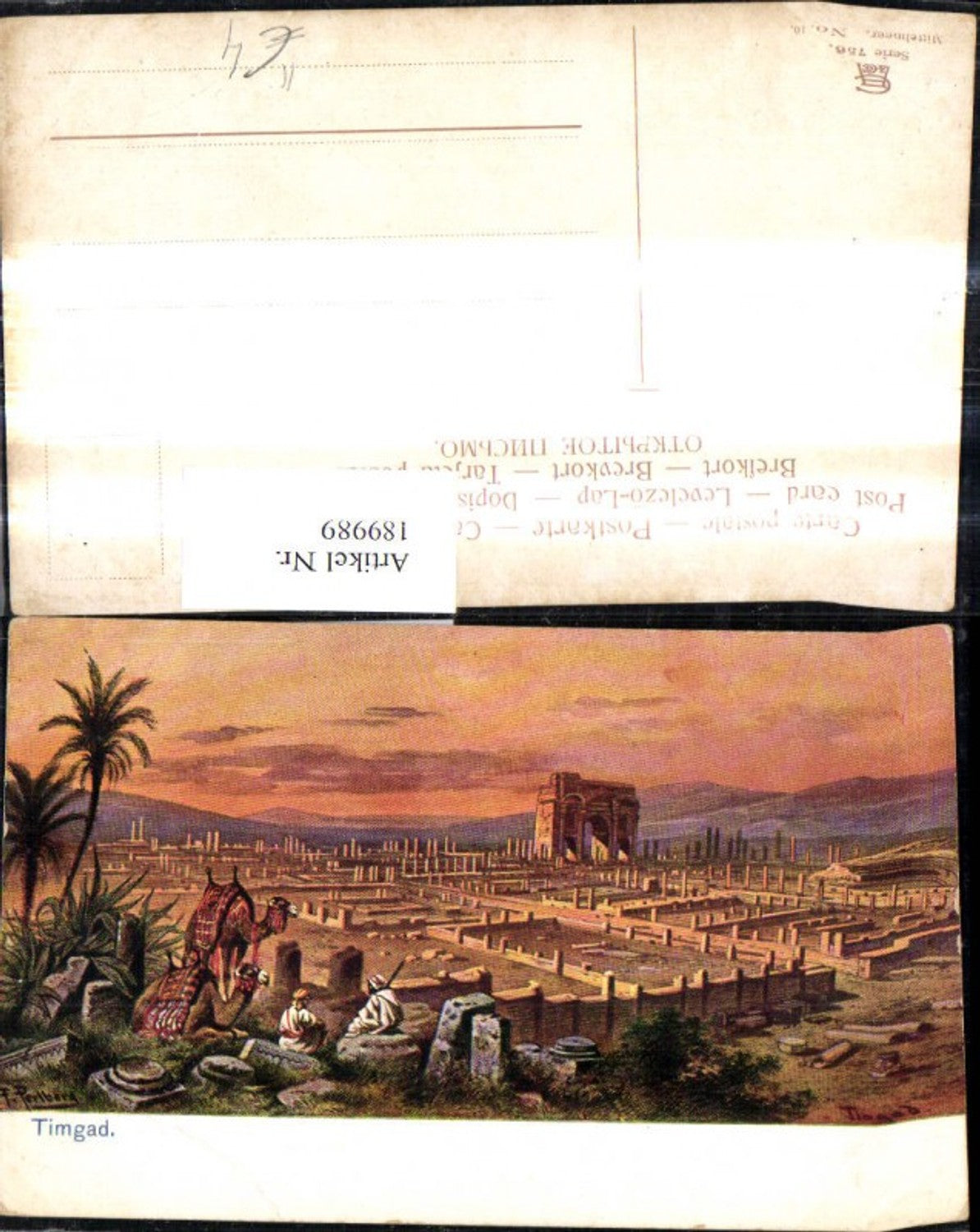 189989,Künstler Ak F. Perlberg Timgad Kamele Ruinenstadt