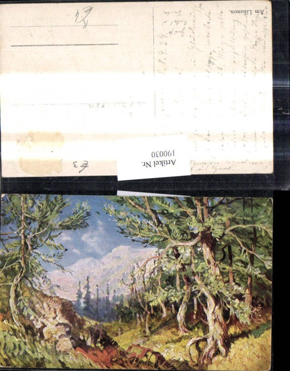 190030,Künstler Ak Am Libanon Wald Berge Landschaft