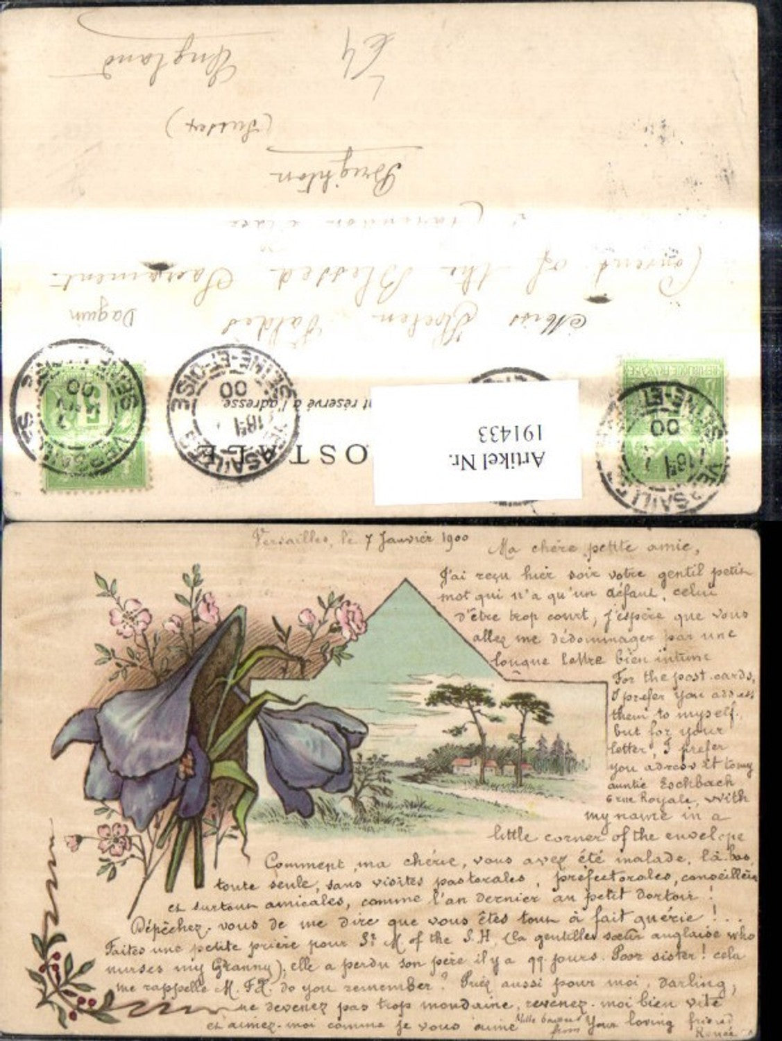191433,Künstler Litho Landschaft Passepartout Blume Ranke
