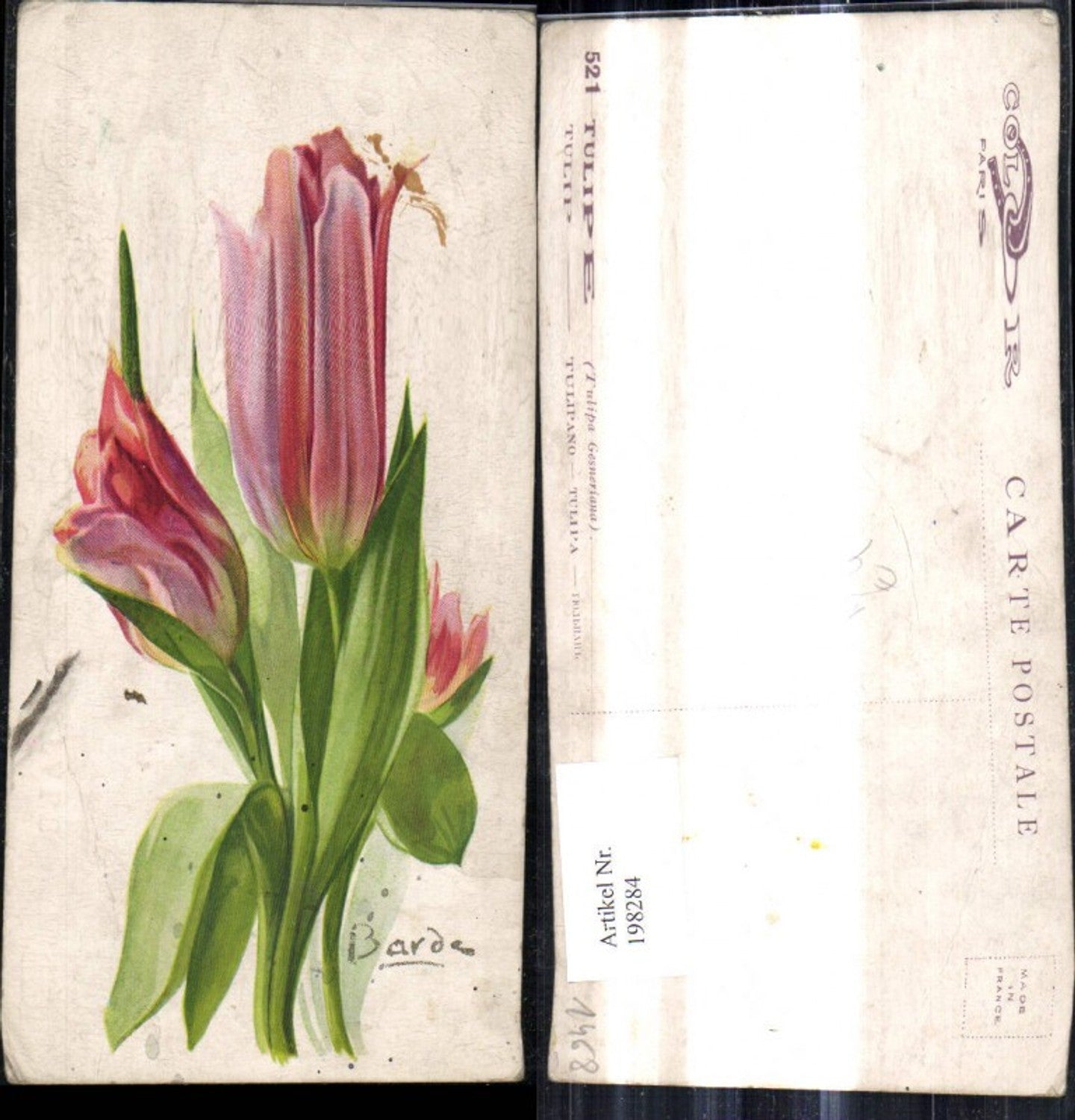 198284,Künstler Ak Barde Blumen Tulpen