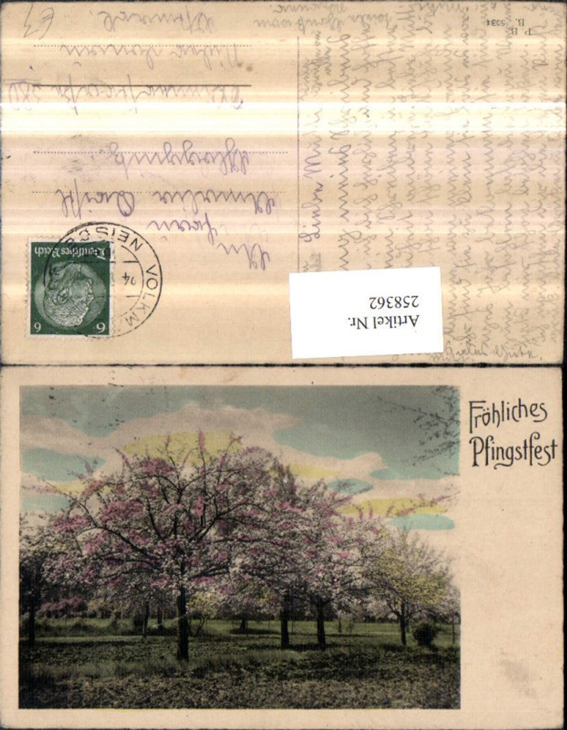 258362, Pentecost flowering trees