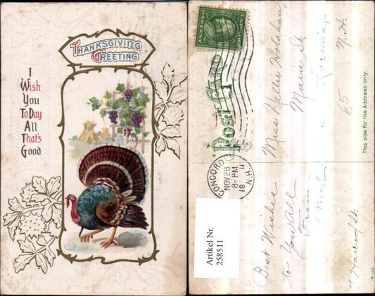 258511, embossed postcard Thanksgiving turkey grapes leaves