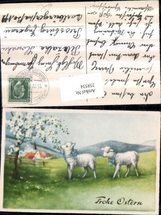 258534,Ostern Schafe Lämmer m. Schleife Landschaft Baumblüten