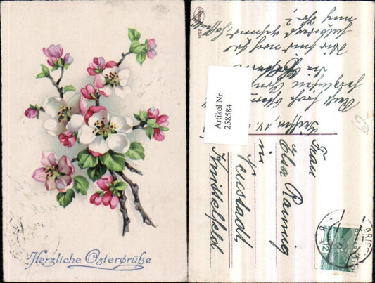 258584, Easter flowering branches tree blossom blossoms