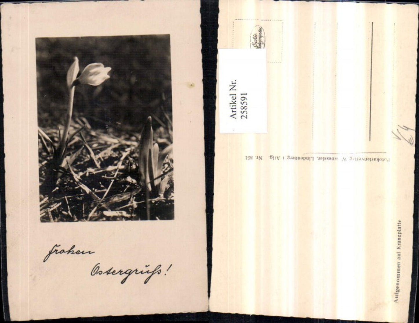 258591, Easter Snowbell Snowdrop pub W. Roessler 851