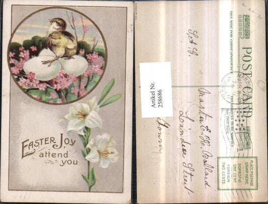 258686,Präge AK Ostern Küken Eier Blütenzweige Passepartout Blumen