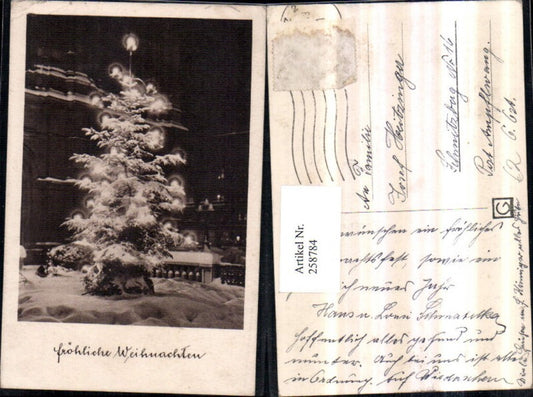 258784, Christmas tree candles winter picture