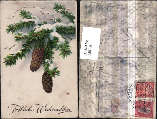258788, Christmas fir branches cones