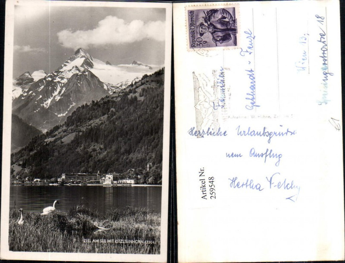 259548,Zell am See Teilansicht m. Kitzsteinhorn Bergkulisse Schwäne