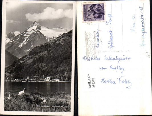 259548,Zell am See Teilansicht m. Kitzsteinhorn Bergkulisse Schwäne