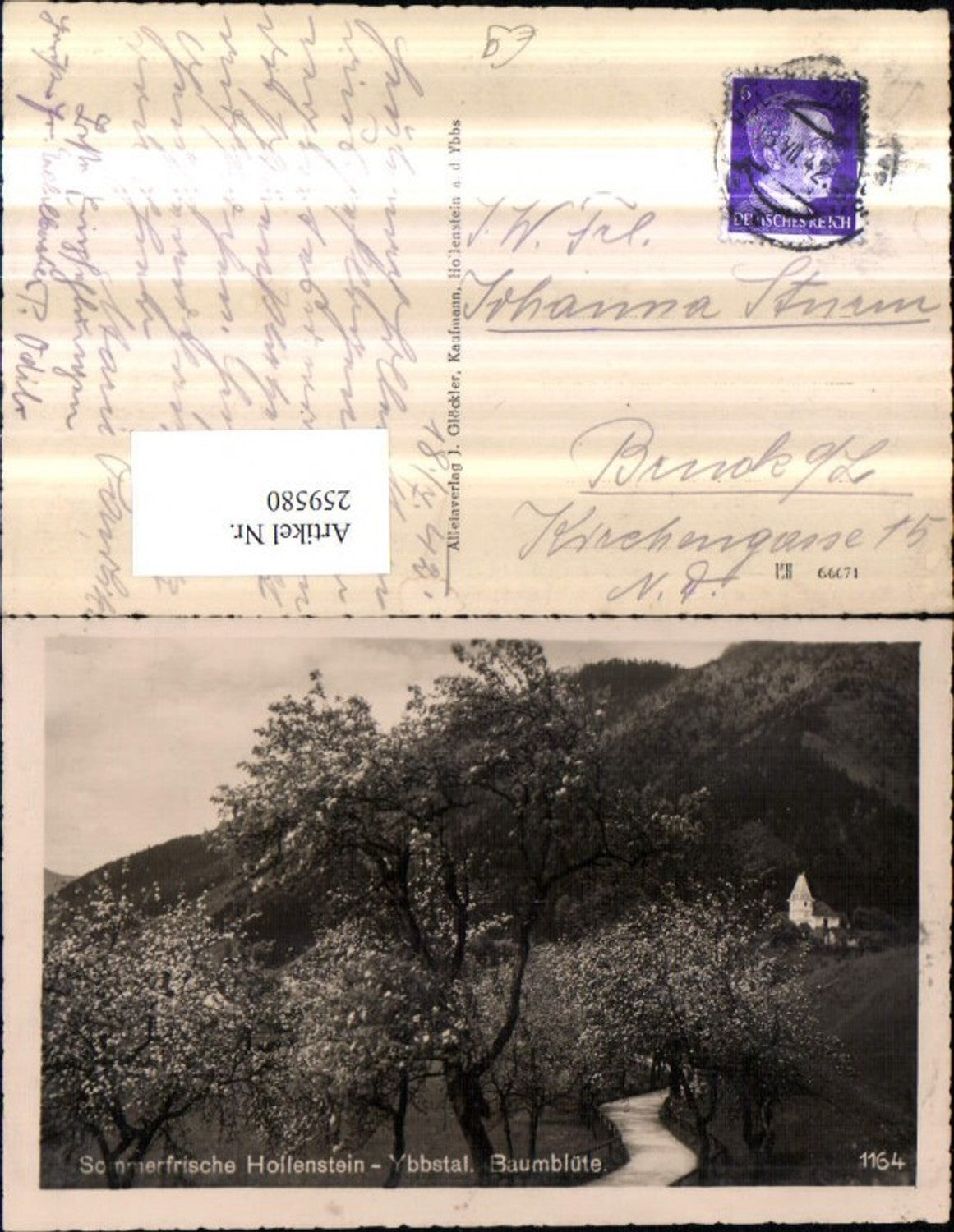 259580,Hollenstein im Ybbstal Baumblüte Kirche