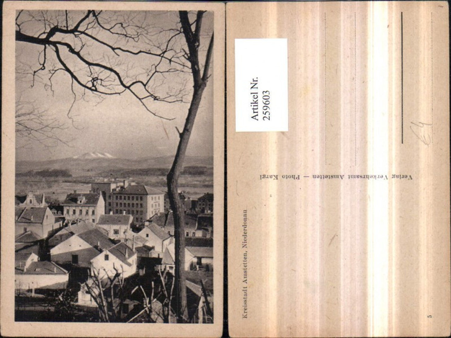 259603,Amstetten Teilansicht m. Ötscher