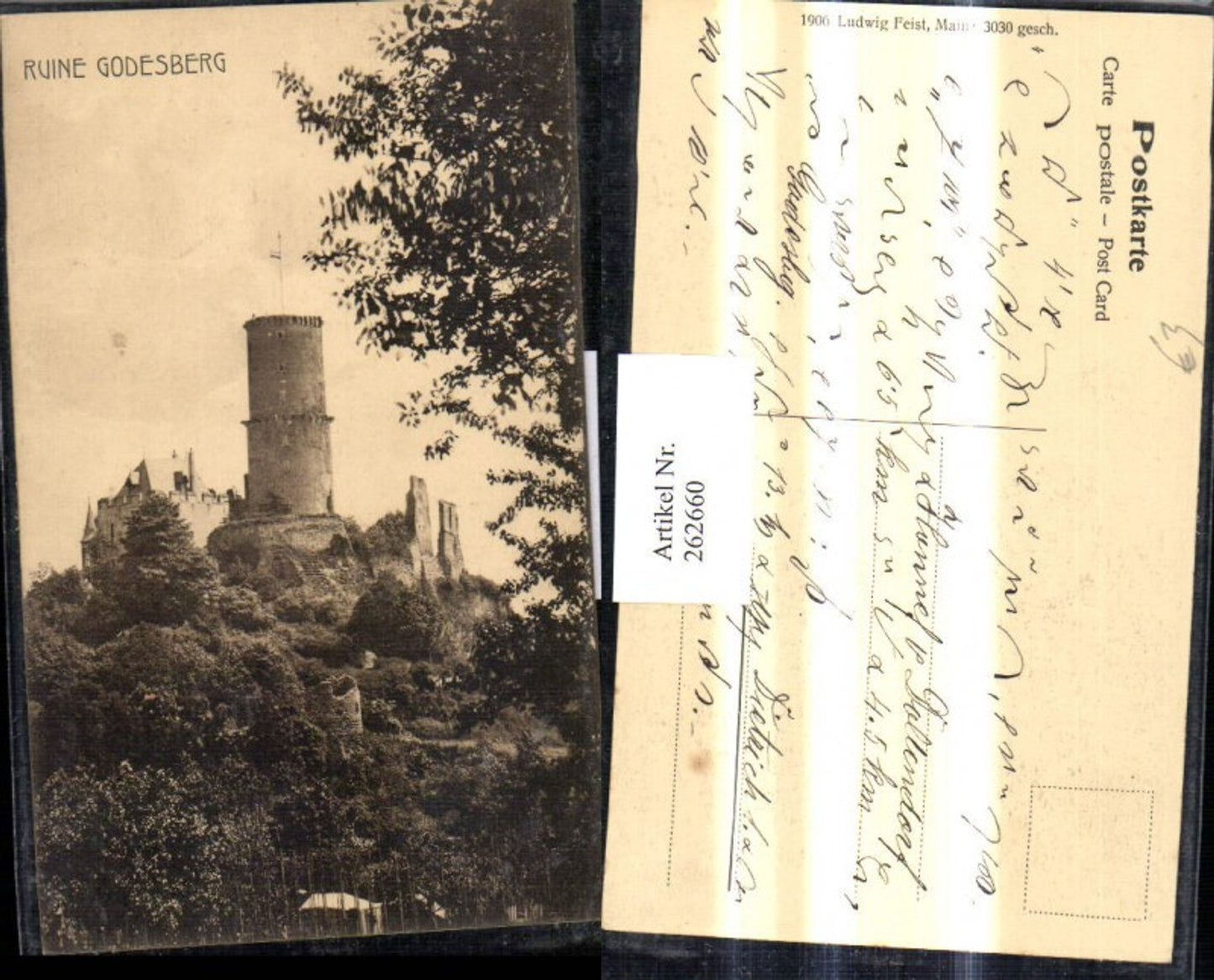 262660,Ruine Godesberg Schloss Burg