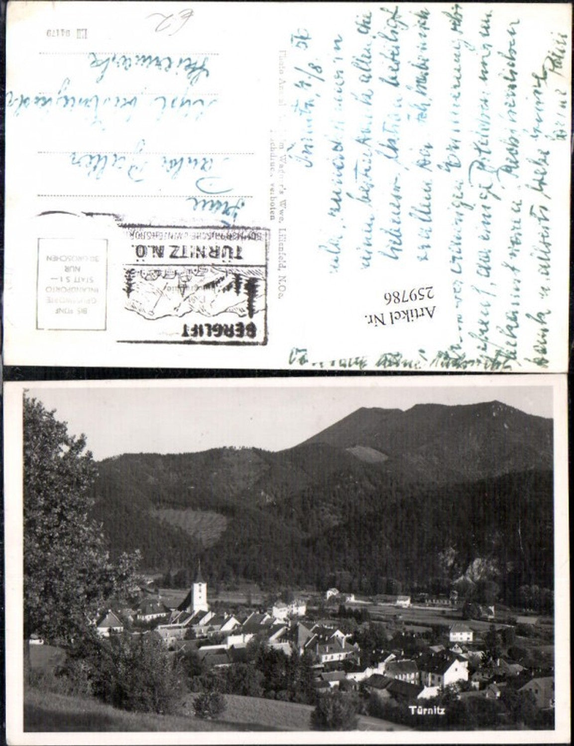 259786,Türnitz Teilansicht