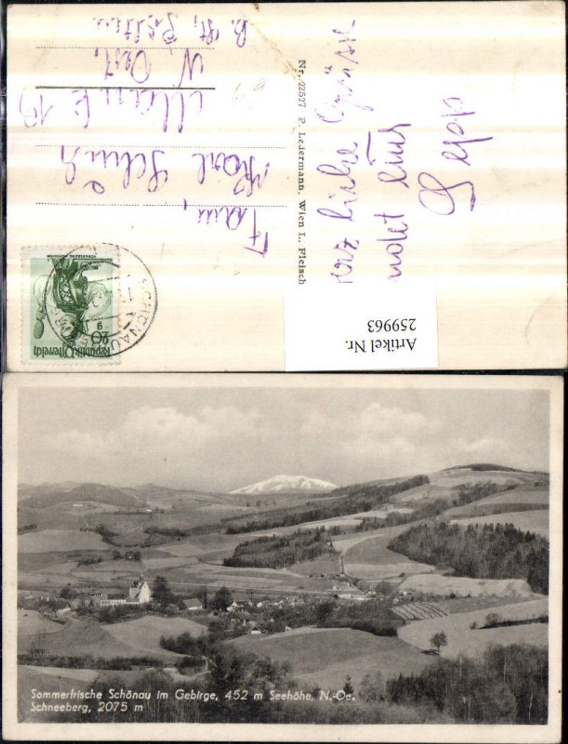 259963,Schönau im Gebirge Totale m. Schneeberg
