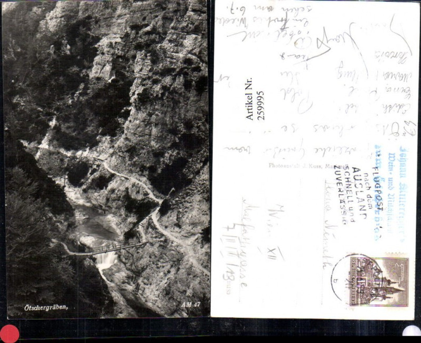 259995,Ötschergräben b. Mitterbach Partie