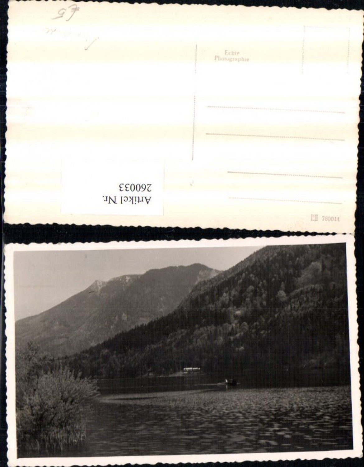 260033,Foto AK Lunzersee See b. Lunz Partie Bergkulisse