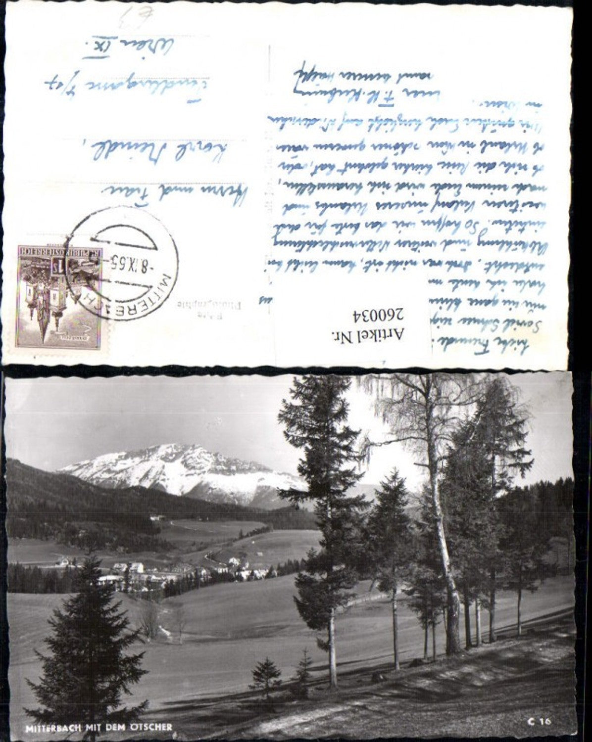260034,Mitterbach Teilansicht m. d. Ötscher