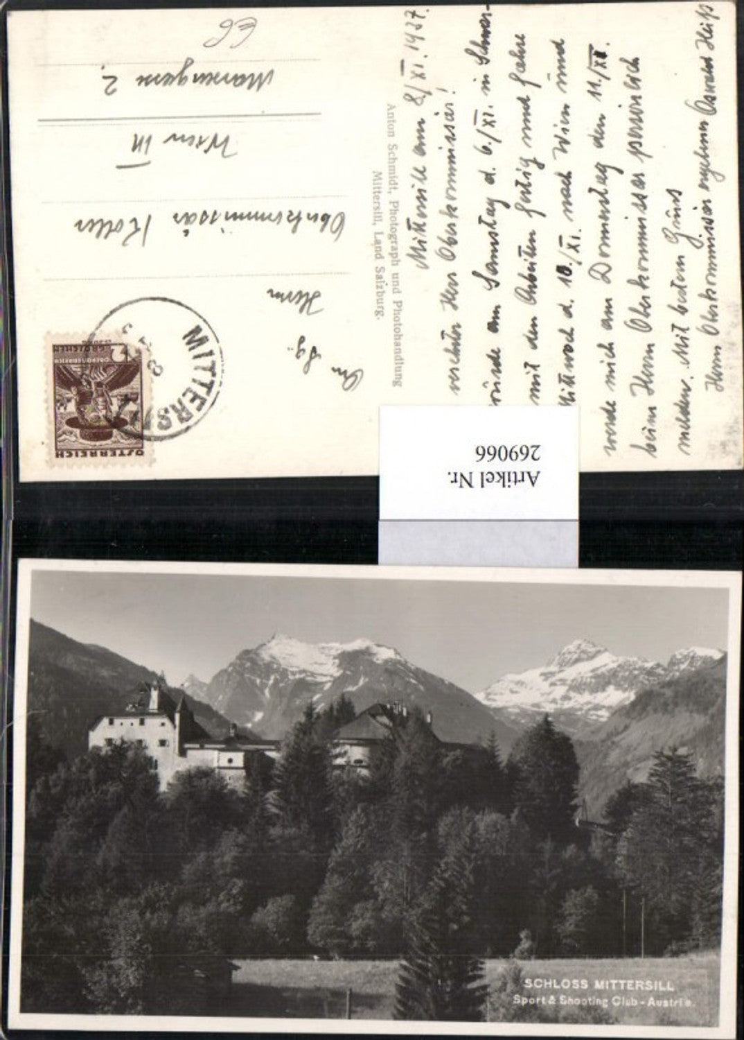 269066,Schloss Mittersill Bergkulisse