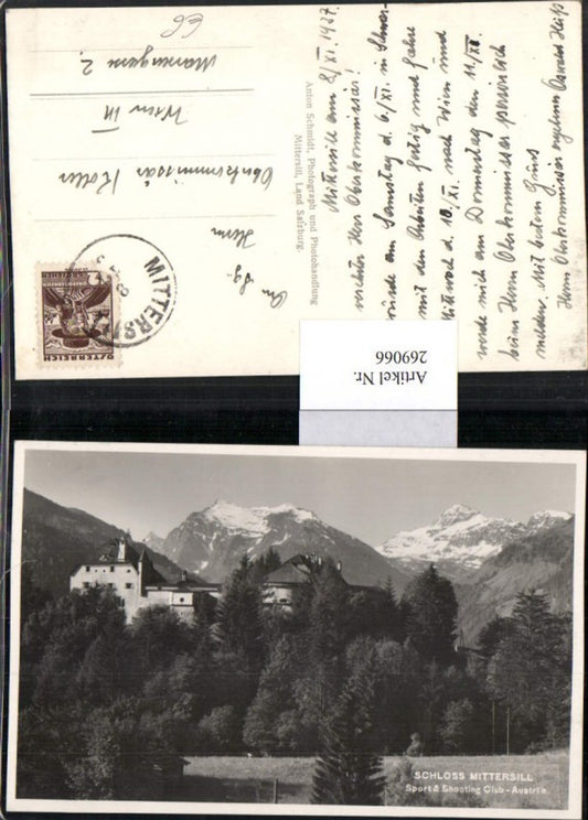 269066,Schloss Mittersill Bergkulisse