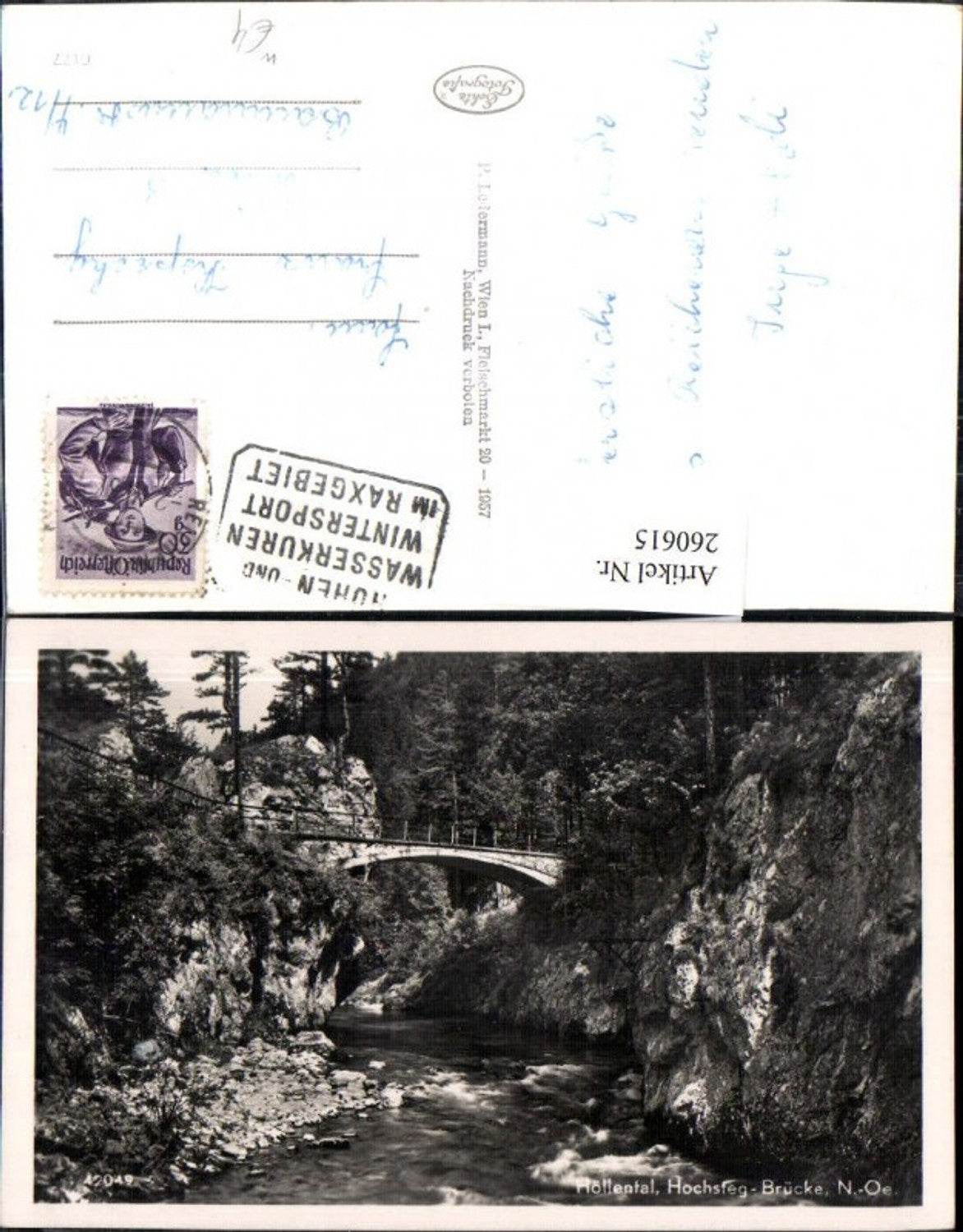 260615,Höllental Hochsteg-Brücke Partie b. Schwarzau im Gebirge