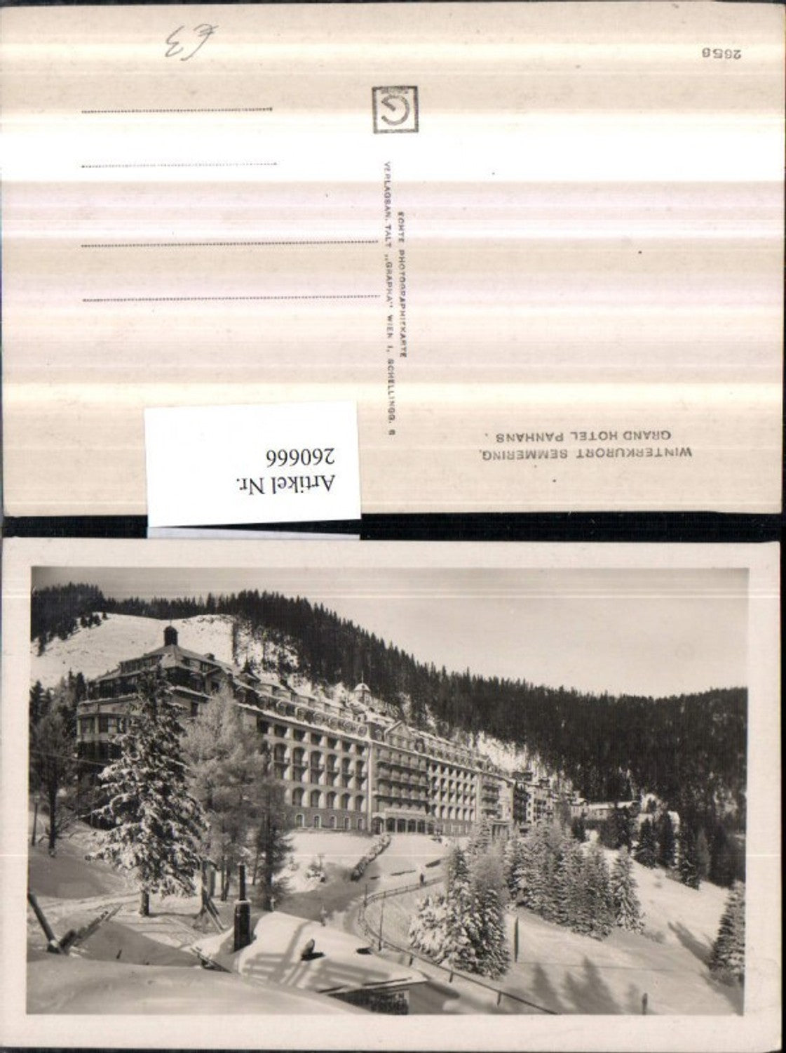 260666,Semmering Grand Hotel Panhans Winterbild