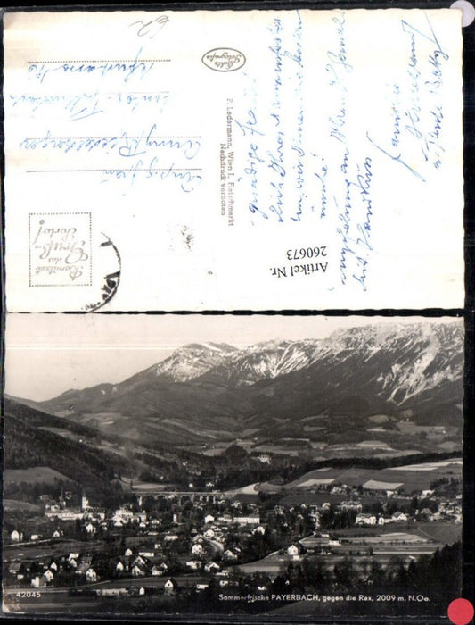260673,Payerbach Totale geg. d. Rax Bergkulisse
