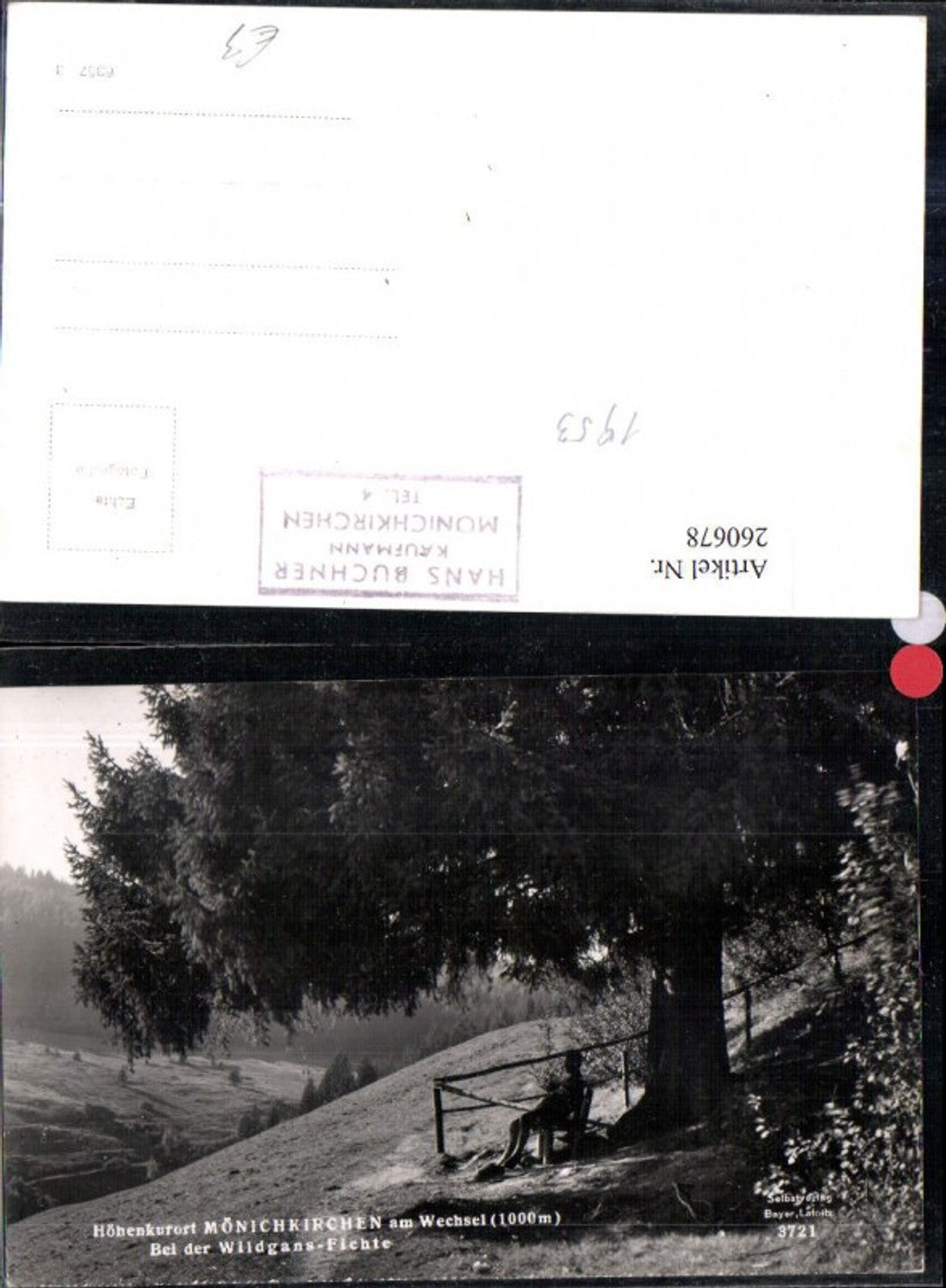 260678,Mönichkirchen am Wechsel Wildgans-Fichte Partie