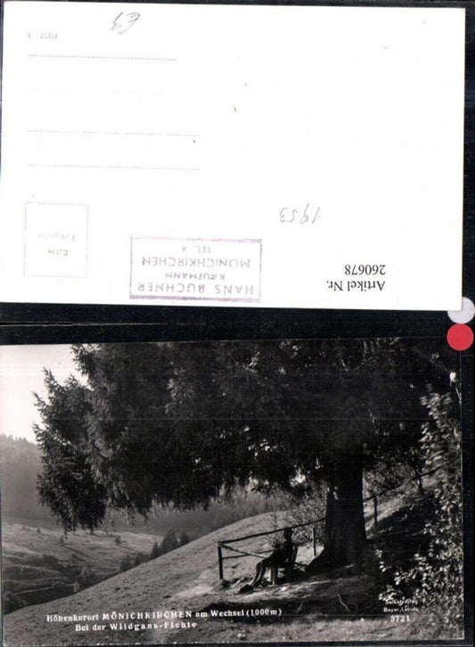 260678,Mönichkirchen am Wechsel Wildgans-Fichte Partie