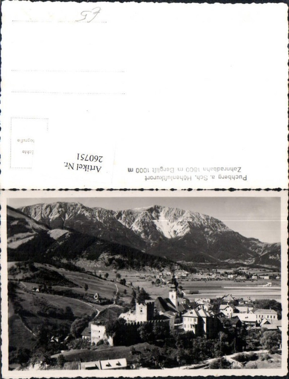 260751,Puchberg am Schneeberg Teilansicht Burg Kirche Bergkulisse