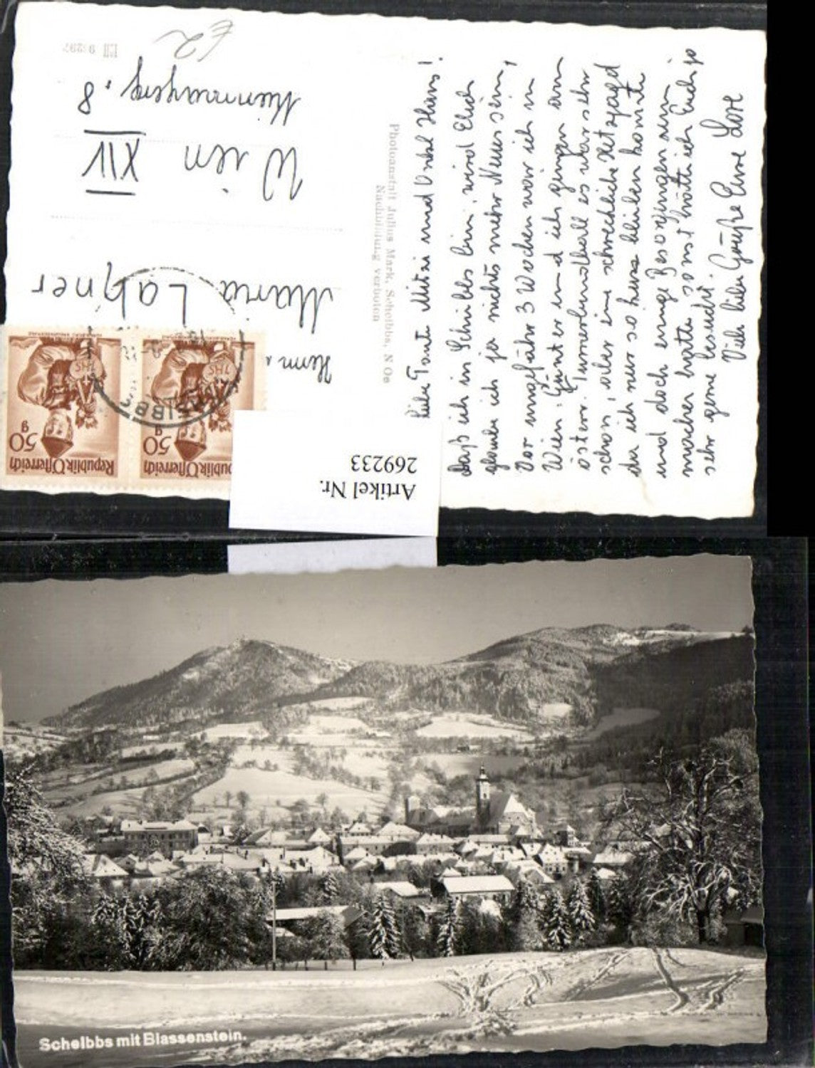 269233,Scheibbs Totale m. Blassenstein Totale Winterbild Bergkulisse