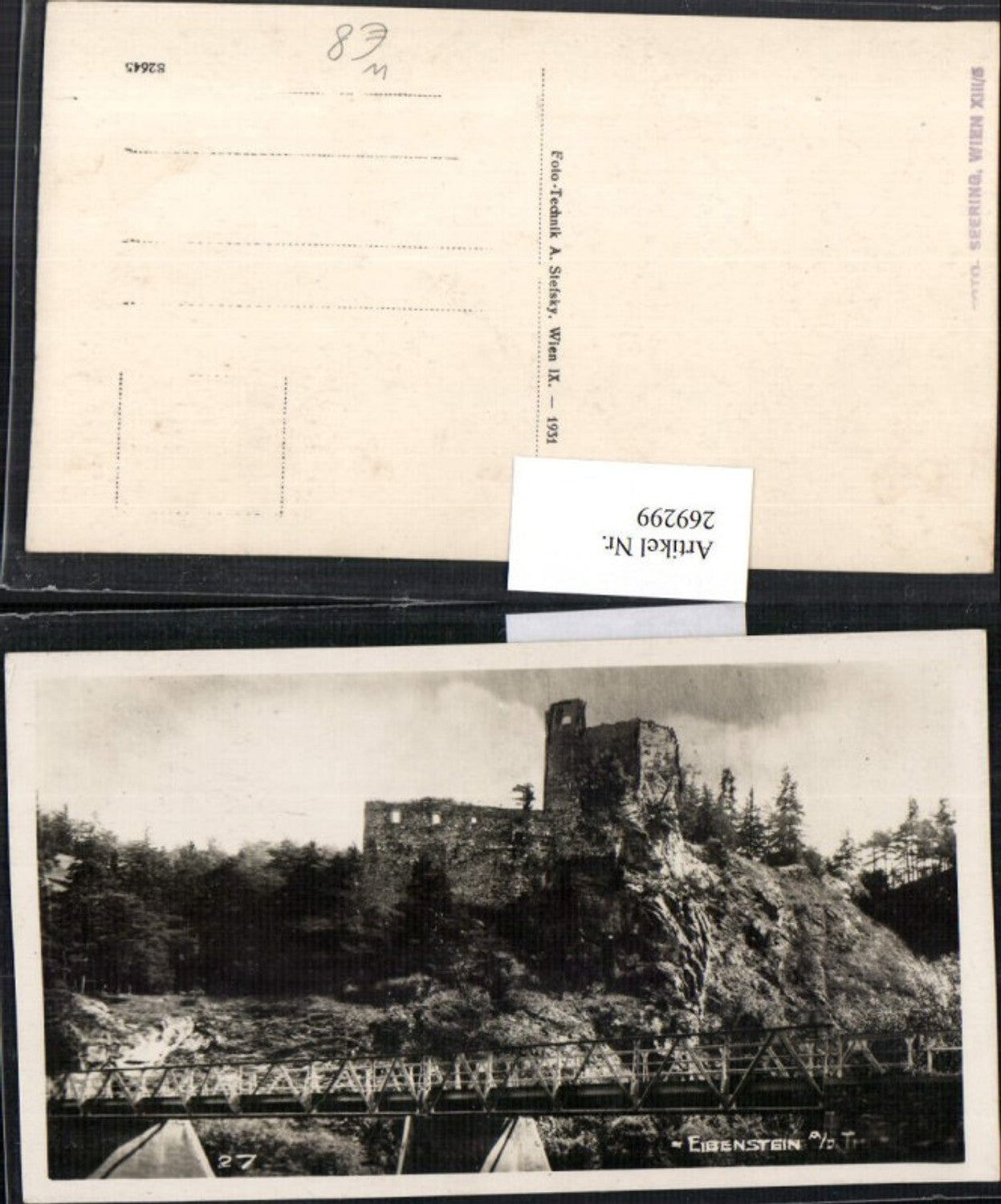 269299,Burgruine Burg Ruine Eibenstein Thayabrücke Brücke