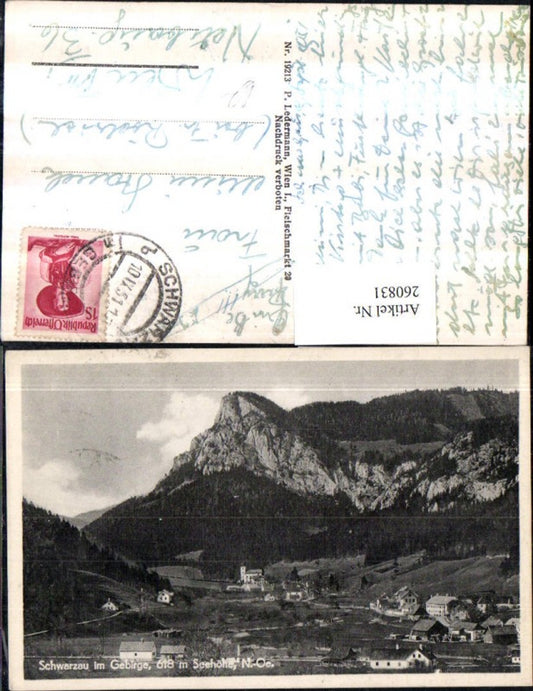 260831,Schwarzau im Gebirge Totale