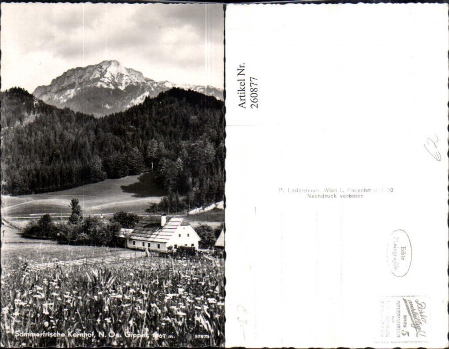 260877,Kernhof b. St. Aegyd am Neuwalde m. Gippel Bergkulisse