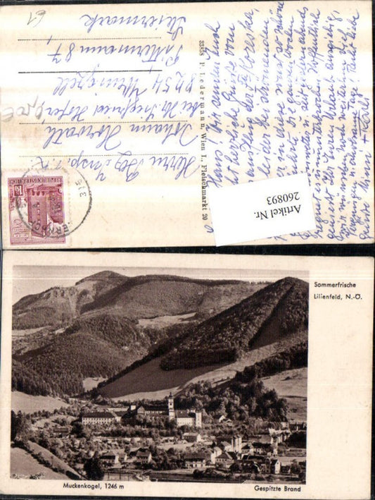 260893,Lilienfeld Teilansicht Stift m. Muckenkogel