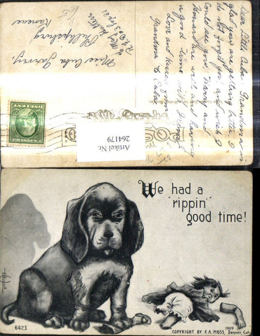 264179,Künstler Ak  Hunde m. kaputter Puppe Spruch Text Scherz Humor