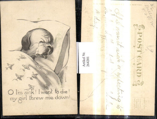 264201,Künstler Ak Hund schläft i. Bett Spruch Scherz Humor