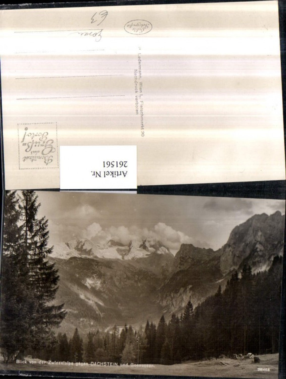 261561,Blick von d. Zwieselalpe geg. Dachstein u. Gosauseen Bergkulisse b. Gosau